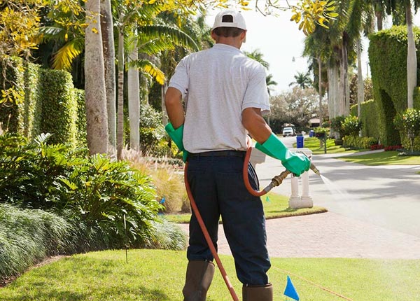 About French Camp CA Pest Control